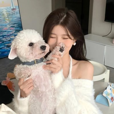 莫罗博士的岛
